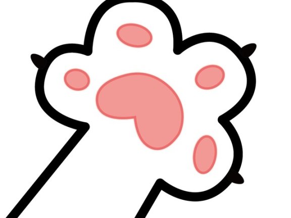 APP喵-阿喵软件资源共享